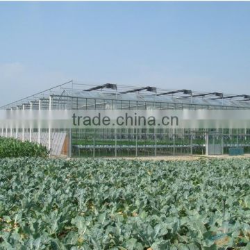 hot sale glass greenhouse shade green house design