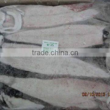 Squid Whole photo-3