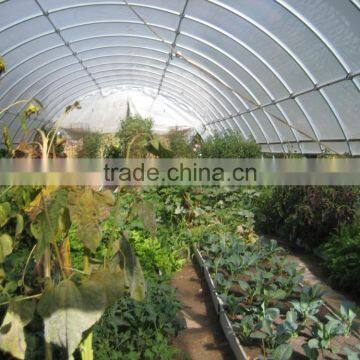 Small Single Span Film Covering Flower Greenhouse photo-2