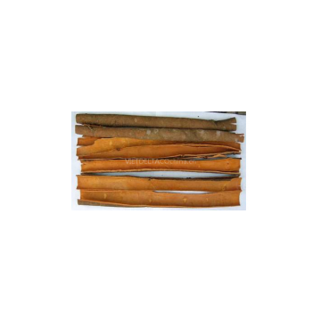 CINNAMON Ms Cindy, Website: Hoaimy.s35, Whatsapp: +84 868 704 600) photo-2