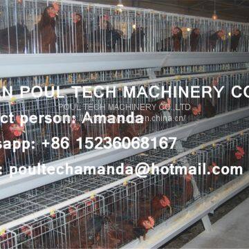 Tanzania Poultry Farm Hot Galvanized Cage & A Type Battery Cage Layer Breeding Chicken Cage & Coop for Poultry Farm