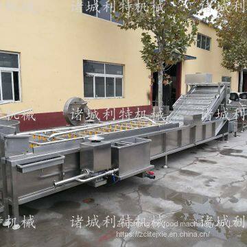 Raisin Processing Equipment Raisin Cleaning Line Raisin Cleaning and Drying Line photo-2