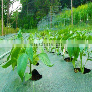 Anti uv Plastic Agricultural Woven pp Weed Control Mat photo-2