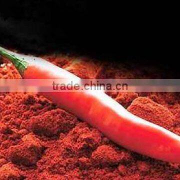 Premium Quality Red Chilli Powder At Your Door Step