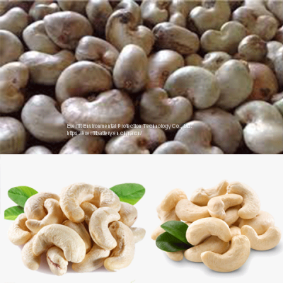 How much does it cost to build a cashew nuts processing factory | Cashew Nut Processing Equipment