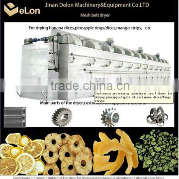 fruit drying machine