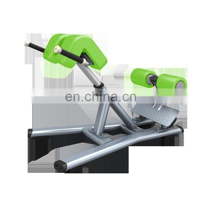 Body Building Machine Back Extension Roman Chair Racks Benches for Gym