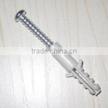 Screw With Plastic Nylon Wall Plug