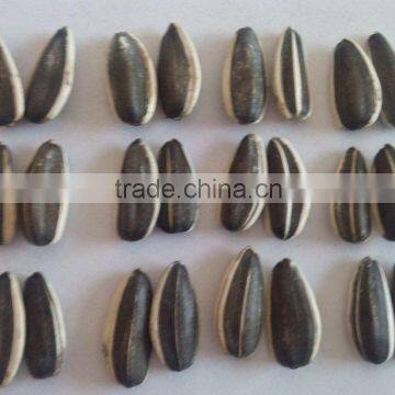 drying sunflower seeds hulled sunflower seeds sunflower seed market price