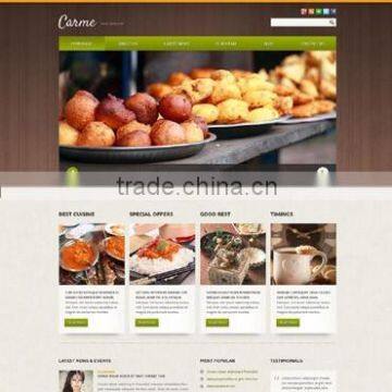 Professional Web Development