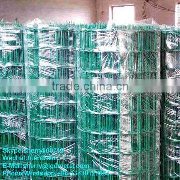 Search Competitive Price Galvanized/pvc Coated Welded Wire Mesh(ISO9001 Factory)----WMSL039 photo-2