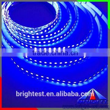 NEW! RGBW/RGBWW CE ROHS Certified 96leds/m SMD 5050 LED Light Strips