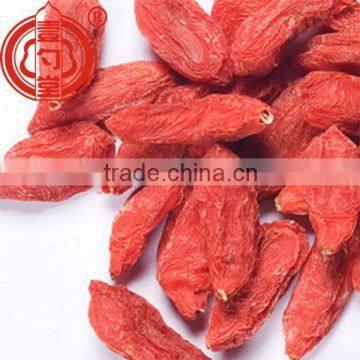 Ningxia goji berry wholesale distributor