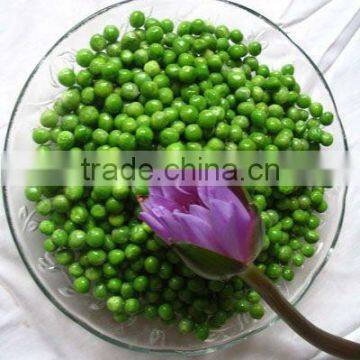 Canned Green Pea in Brine Salty