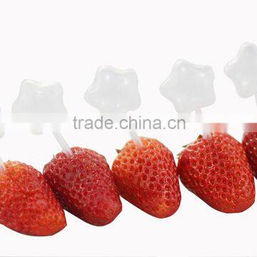 Lowest Price Mini Plastic Pipettes Droppers for Using to Make Infused Strawberries and Cupcakes photo-2