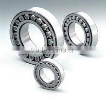 IKO,NSK,NTN Cylindrical Roller Bearing N310