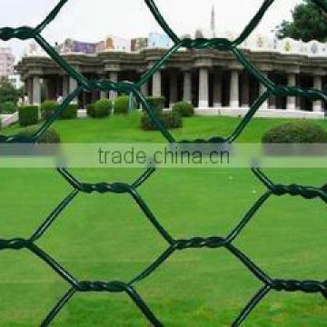 hexagonal wire netting