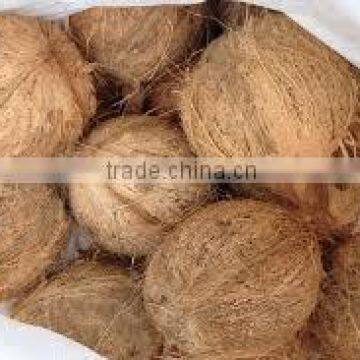 Thailand Semi Husked Coconuts