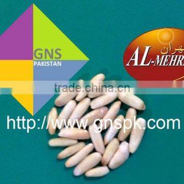 Fine Quality Pine Nuts Kernels - Pakistan Origin