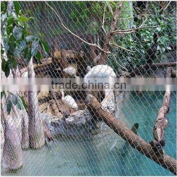 zoo mesh/stainless steel bird netting/aviary mesh