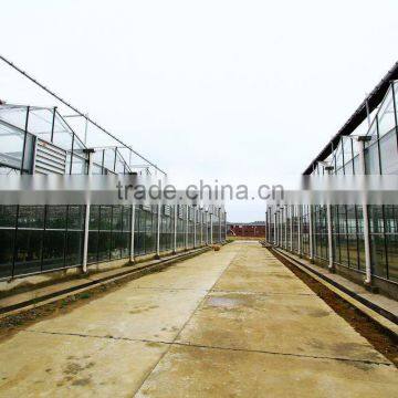 Large Span Glass Multi-span Greenhouse photo-2