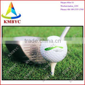 3d golf ball digital printer,golf ball logo printing machine prices