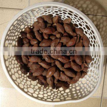 Malva Nuts from Viet Nam