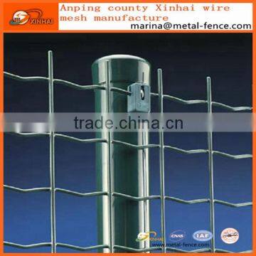 PVC Coated Welded Holland Wire Mesh/Euro Fence/Fencing/Wire Mesh Netting