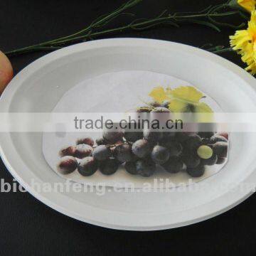 Biodegradable Oval Plate