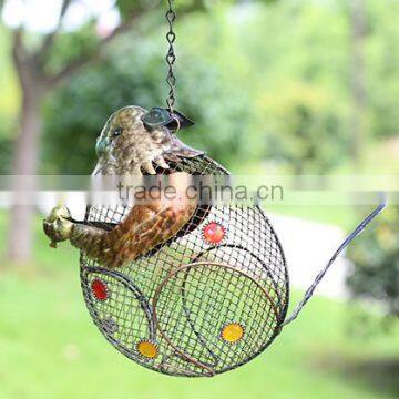 clear window bird feeder