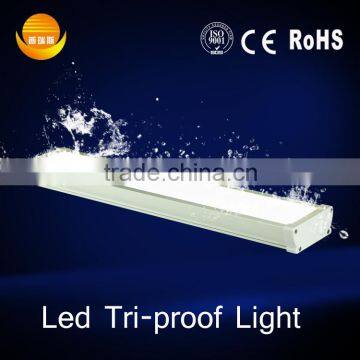 Hot sell led tri proof light long life time 50000hours china market in dubai