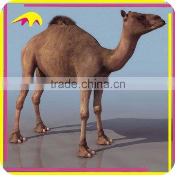 KANO5229 Theme Park Vivid Artificial Life Size Camel Statue