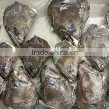 Frozen Greenland Halibut Head for Sale