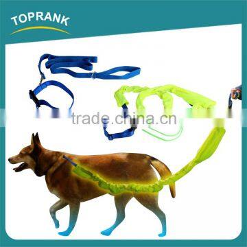 New design decorative detachable cloth nylon reflective dog leashes