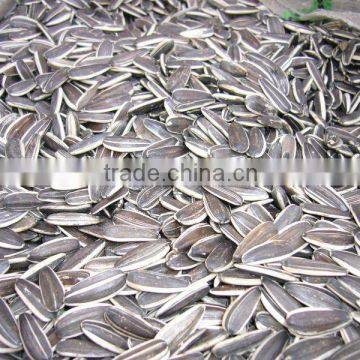 sunflower seeds