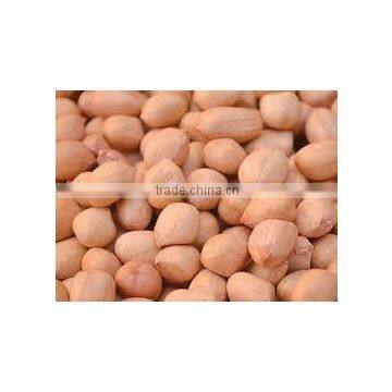 Peanut With Shell photo-3