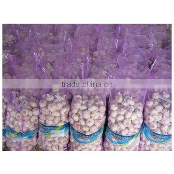 HACCP,ISO Certification and Liliaceous Vegetabless Product Type red Fresh garlic 2015 price