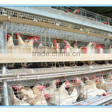 chicken house for sale