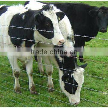 China anping horse farm used Wholesale bulk cattle fence for sale