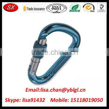 Dongguan Supplier OEM Aluminum Large Work Carabiner for Climning