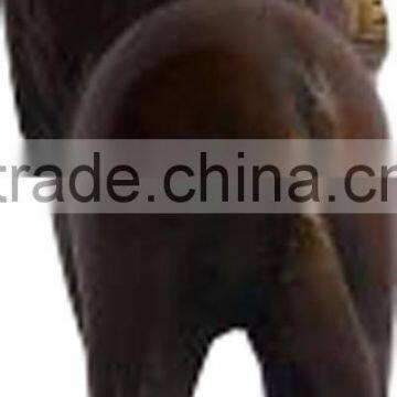 Bronze Lion Statue photo-2