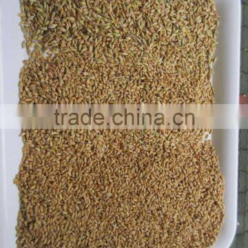Factory Wheat Color Sorter/barley Wheat Color Sorting Machine/color Separator photo-5