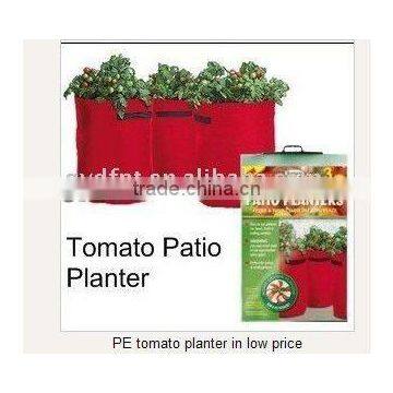 PE tomato planter in low price