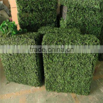 2017 Hot Sale UV Anti and Fireproof Plastic Hedge Fence Decoration photo-5