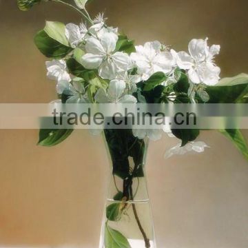 Mini Clear Glass Vase wholesale