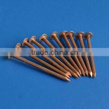 Large head copper nails