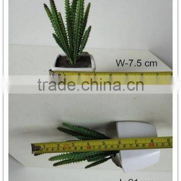 Artificial Mini Succulent Bonsai Potted Succulent Small Potted Plant photo-2