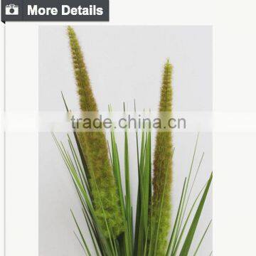 Three Heads Fox Tails Accessory Preserved Grass Grass Bush Decorative Indoor Plants photo-3
