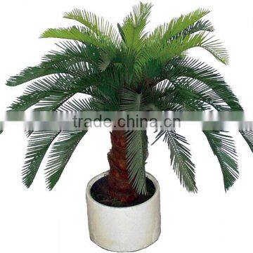 Artificial Mini Palm Trees and Palm Tree Landscaping photo-6