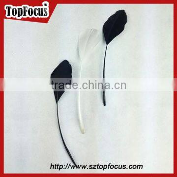 Fashion Factory Prices Wholesale Prime Quality Dyed Goose Wing Feather photo-2